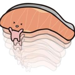 あおいとせんちゃんのトーク