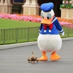 なんでもトークroomヾ(＠⌒ー⌒＠)ノパティシエしてます^^;