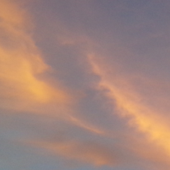 755の友達を募集中