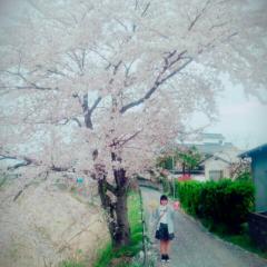 すみなのトーク