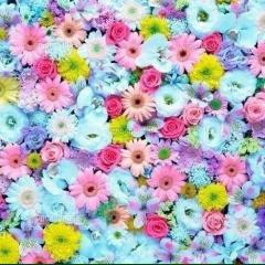 中学生＆高校生さん集まろーよ( •ॢ◡-ॢ)