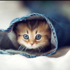 *ﾟчоu*ﾟŧ‹"ŧ‹"♡