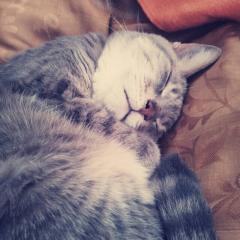 橋本優希のトーク