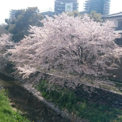 最強トーク王子王女