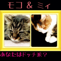 みーちゃる専用♡やじいらんけん