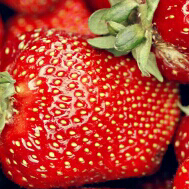 いちごのトーク