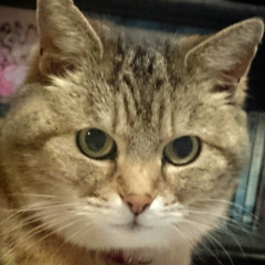 ひさお♪ 握手会♪ 握手会♪