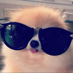 葵* ੈ✩‧₊˚のトーク