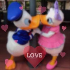 (⋈◍＞◡＜◍)。✧♡