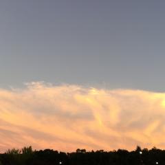 きたこのトーク