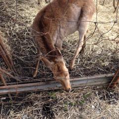 もこさんと二人