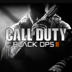 bo2やってる人はなそー