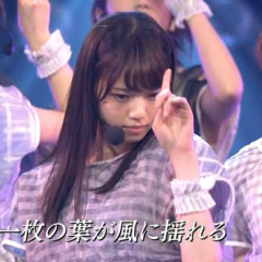 乃木坂ファン集合