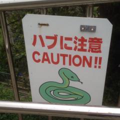 たっつぁん☆ポジティブのトーク