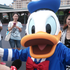 ディズニー好きな人