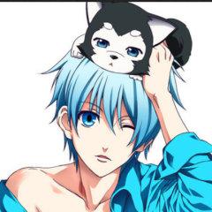 綾猫