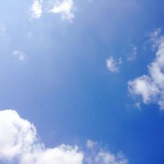 ぴょんくらのトーク