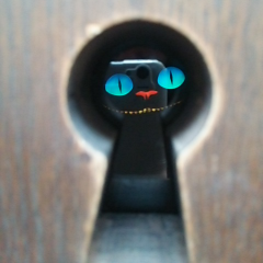 755に対して思うこと。みんなのトークをみてて。