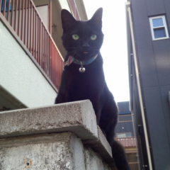 ドＭの女ども来い