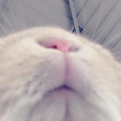 ひなな@肛門科の可愛い子見つけのトーク