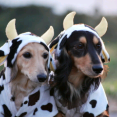 三代目J Soul Brothersだーい好きな人達っ♡