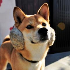 まほのトーク