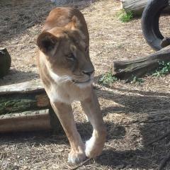 しゅーんきゅん