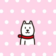 かなこのトーク