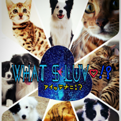 9081💫224🌱1501💓 213🌟1857🌙*.｡