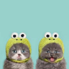 りとーくのためのとーく