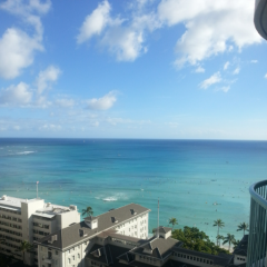 寂しがり屋さんの集い