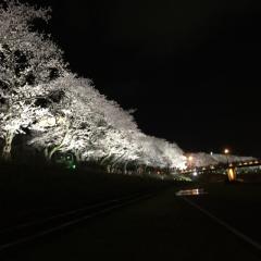 福井の人話そー？？