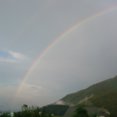 親子(命名鈴蘭)