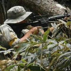 グラセフなどやってます