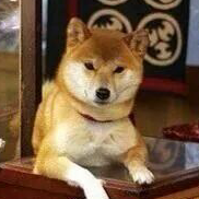 たつき