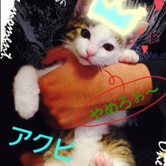 にこ