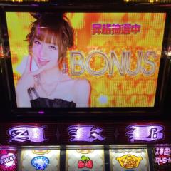 春だろうけど🌸