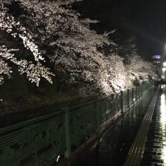 面白い人集まれー笑出会い目的禁止です。