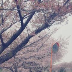 15才の彼女おらん子きてー💕