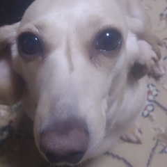 ☆なお☆(懸賞金1ペソ)(;°□°)