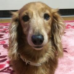 ひとみん