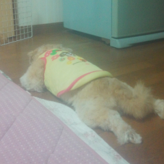 誰でもどうぞ！