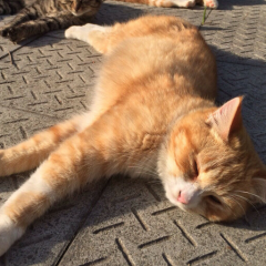 ほんとひま、高校からもー♪