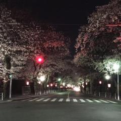べ～さん