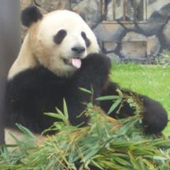 大阪の女の子集合