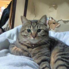 松下清隆のトーク