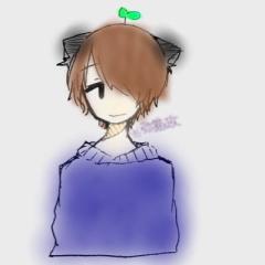 弥猫政