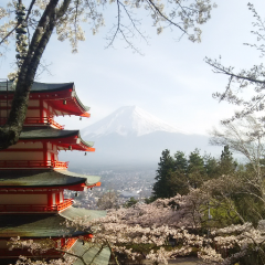 ふっかのトーク