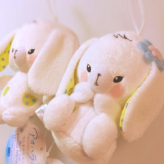 こう見えて社会人(`・ω・)