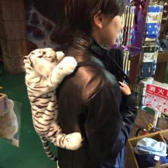 ホワイトタイガー